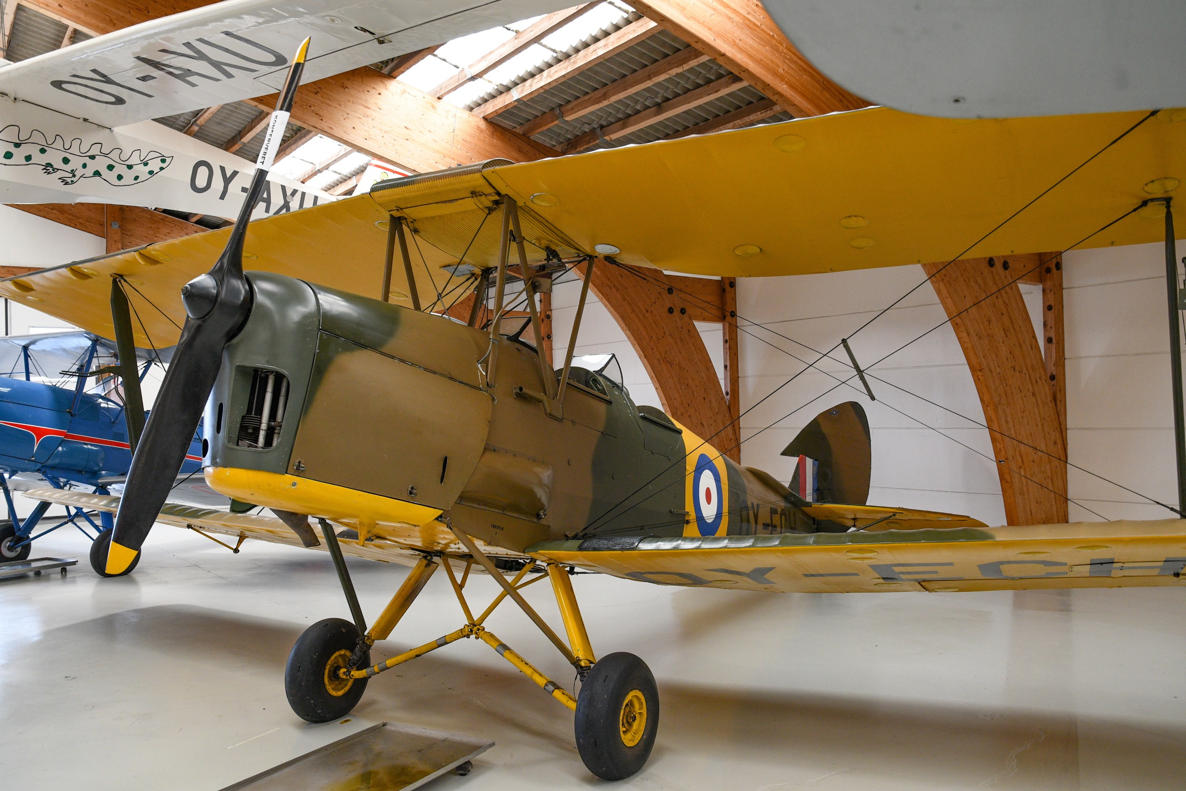 Tiger Moth