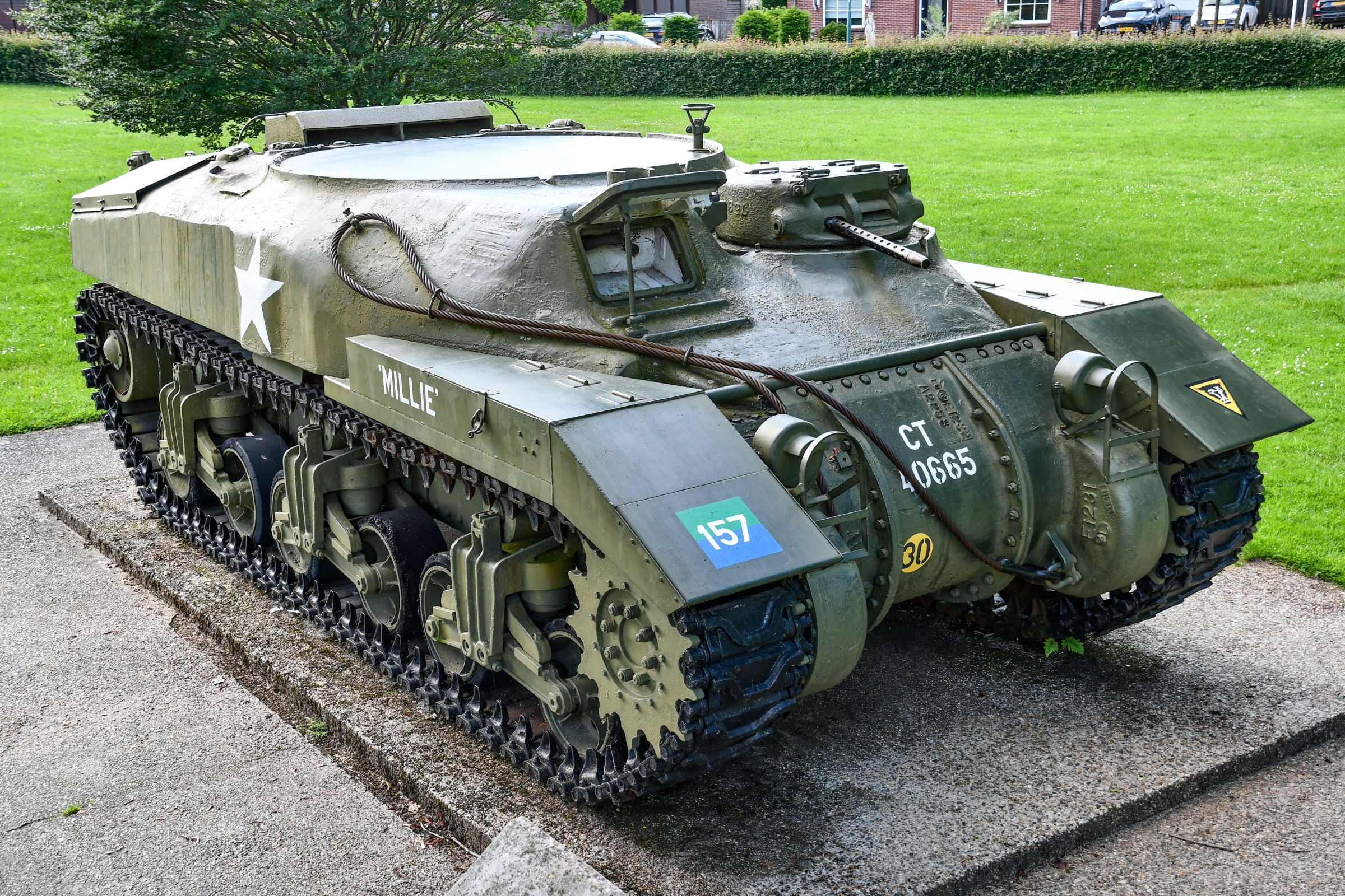 Ram Kangaroo  (Mill, Netherlands) 