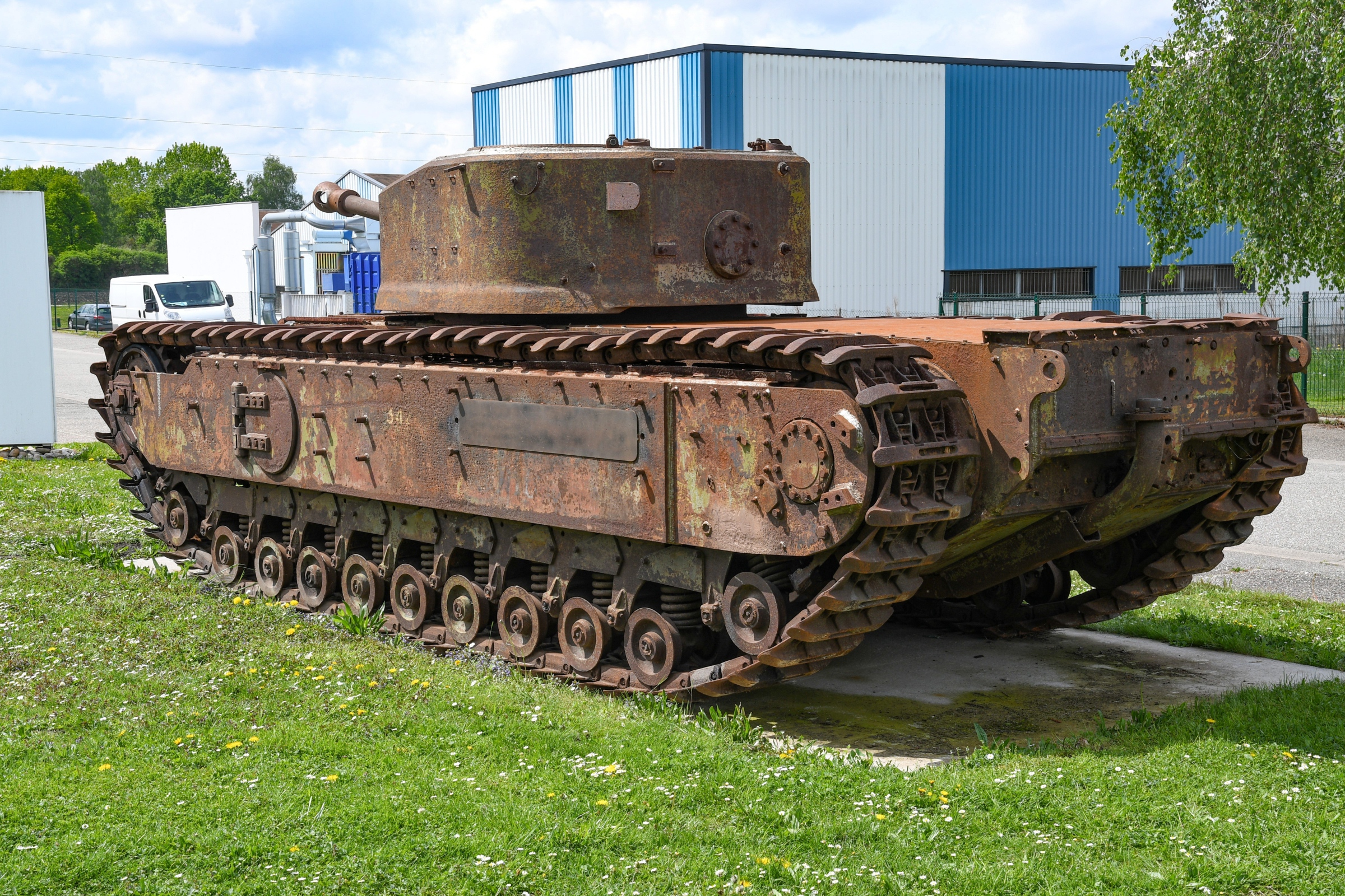 Churchill Crocodile