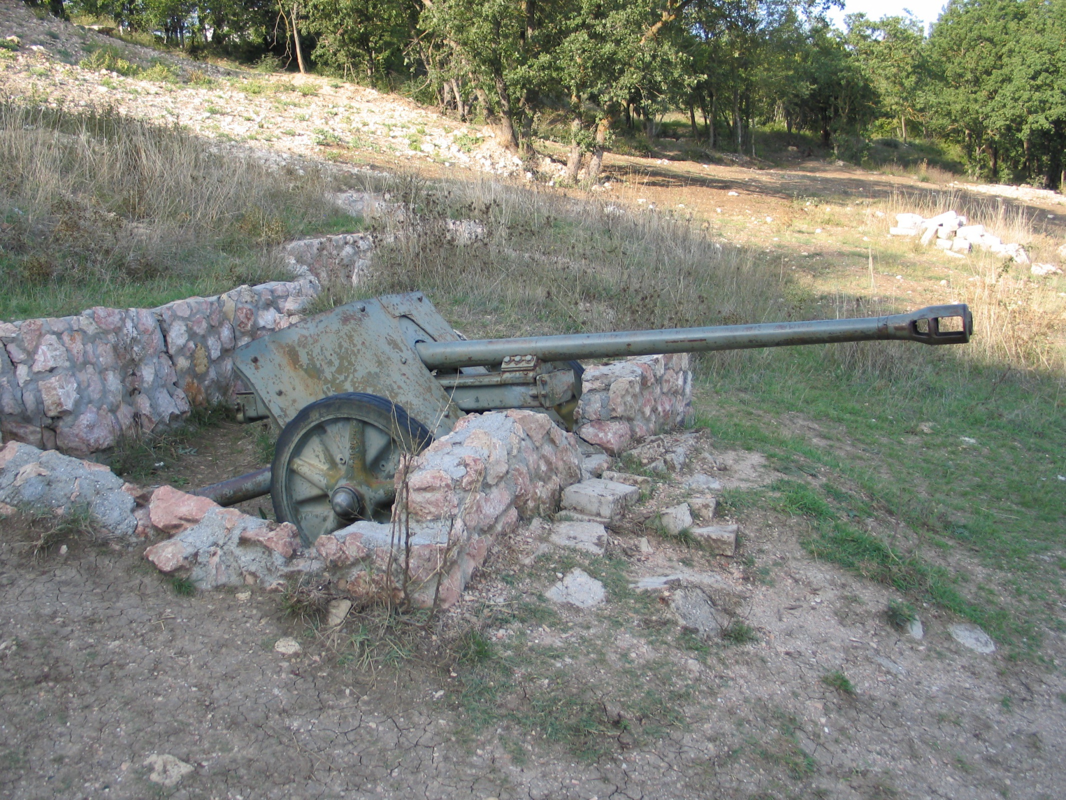 5 cm Panzerabwehrkanone 38