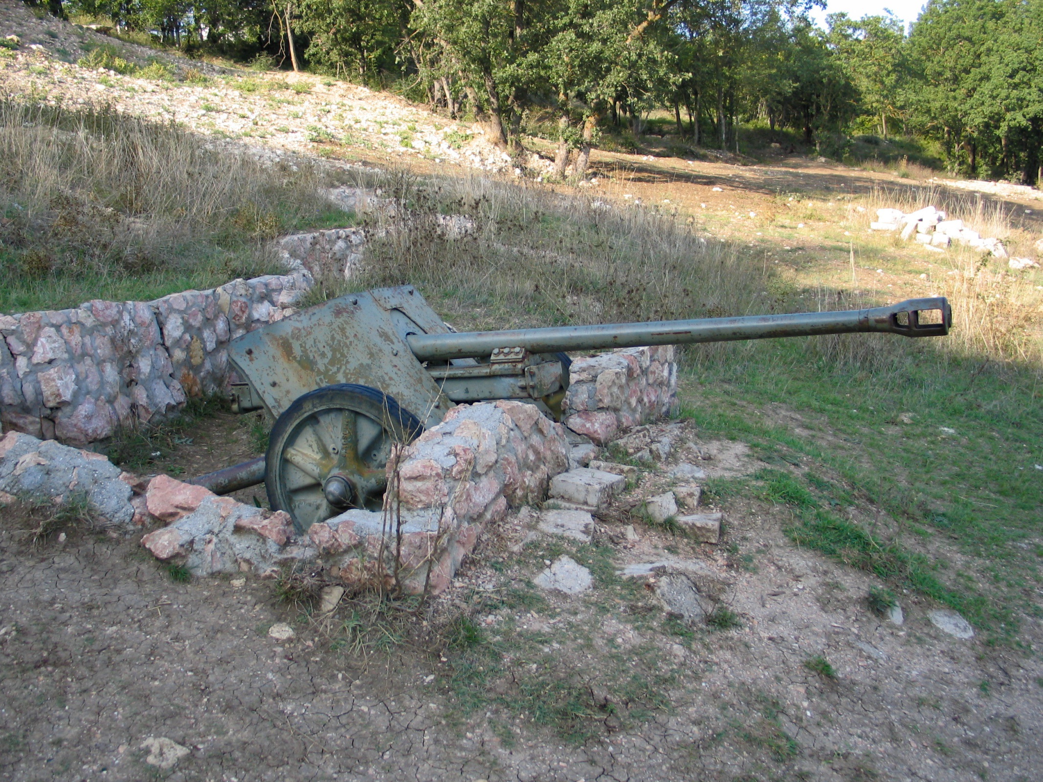 5 cm Panzerabwehrkanone 38
