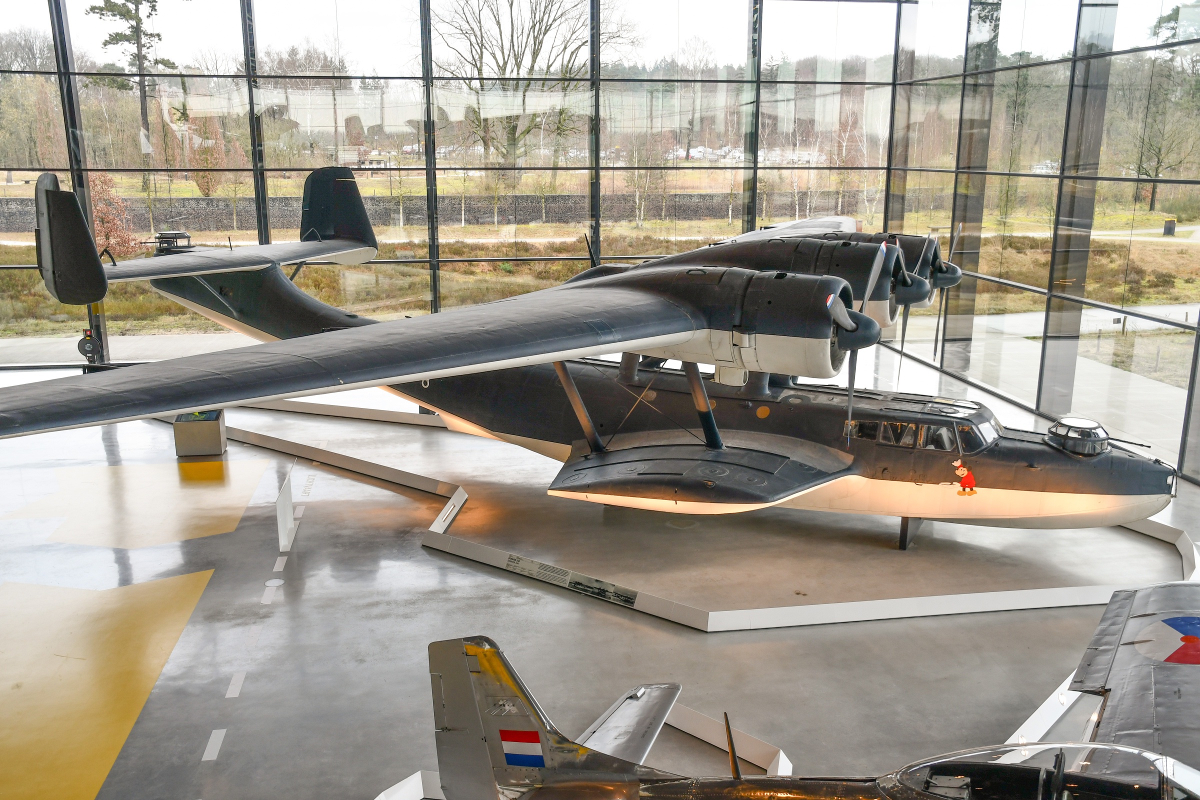 Dornier Do 24T-3