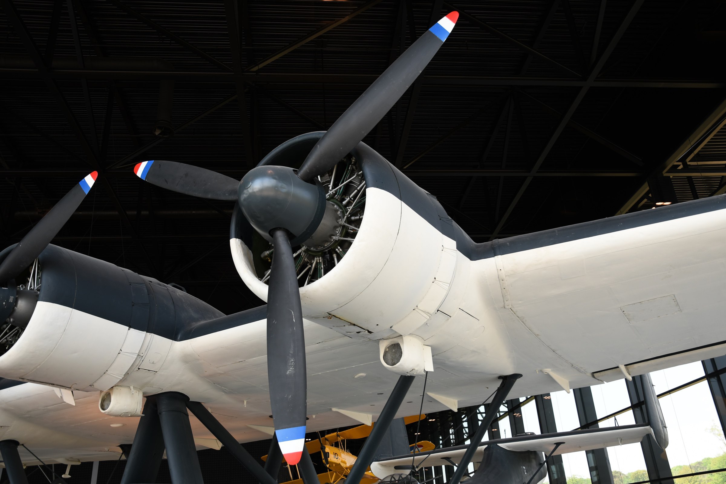Do 24T-3