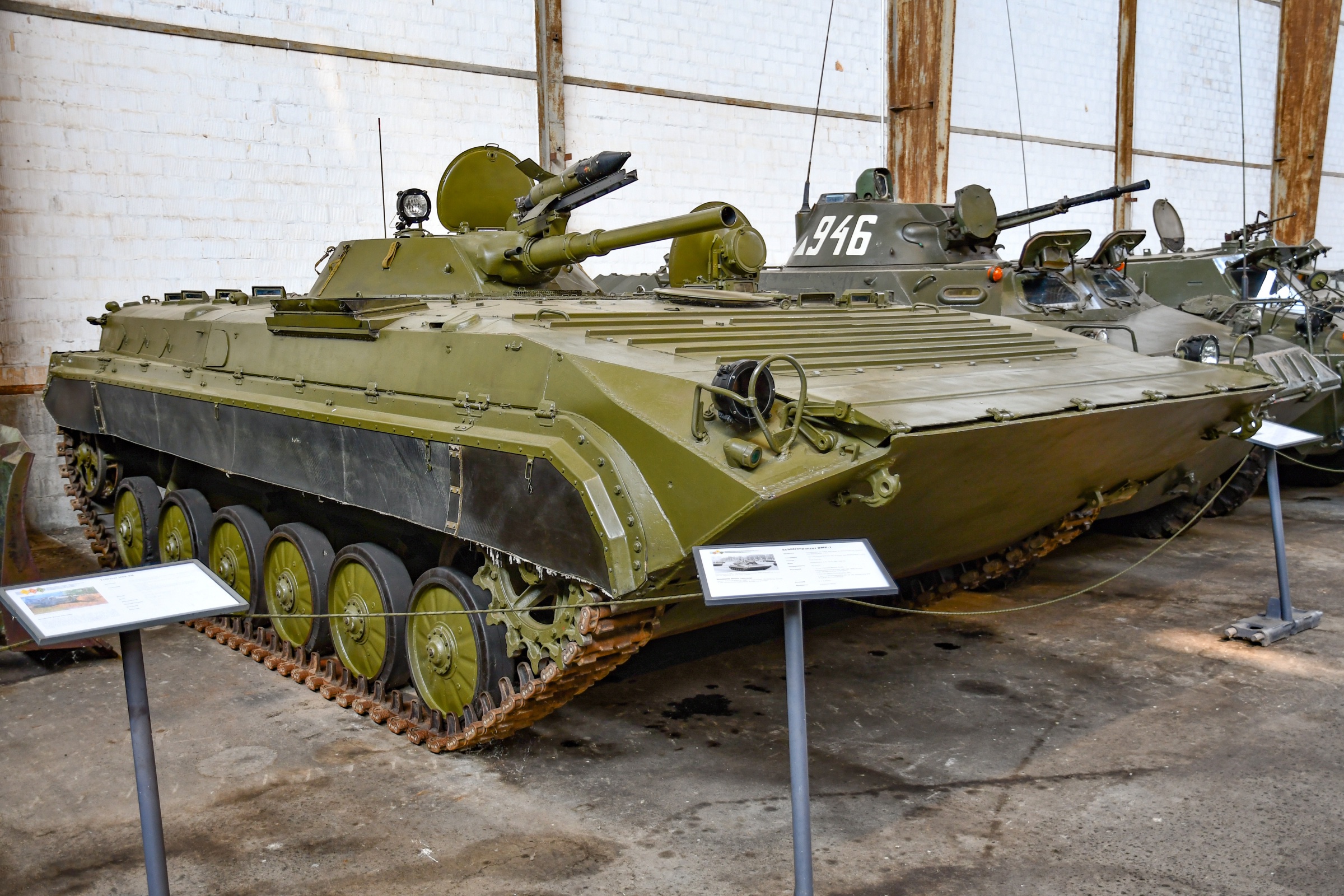 BMP-1